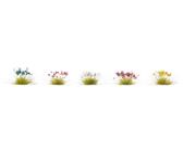 211330 Noch Blumen 06800.jpg
